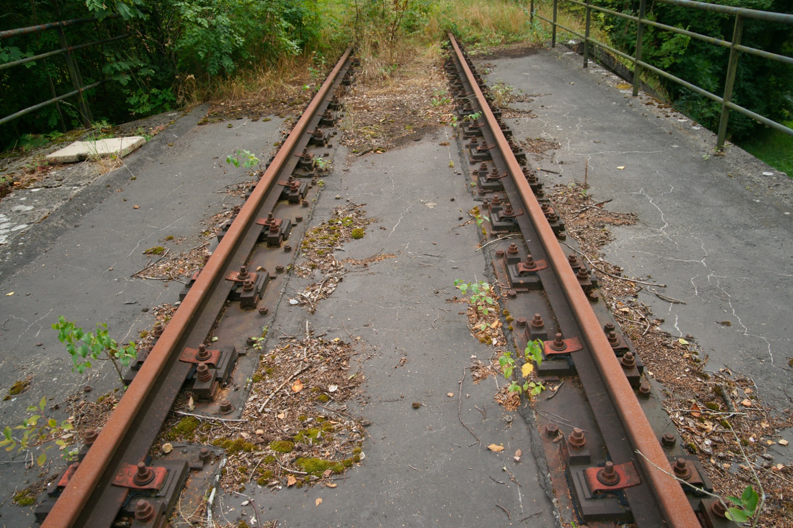 rails3.jpg